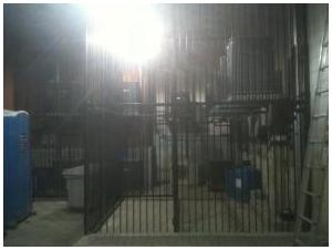 TD China Town Toronto